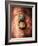 Lion Face Door Knocker in Florence-George Oze-Framed Photographic Print