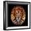 Lion face made of circles-Ben Heine-Framed Giclee Print