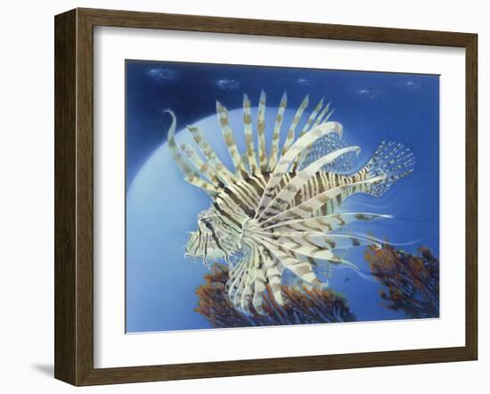 Lion Fish-Durwood Coffey-Framed Giclee Print