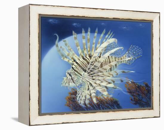 Lion Fish-Durwood Coffey-Framed Premier Image Canvas