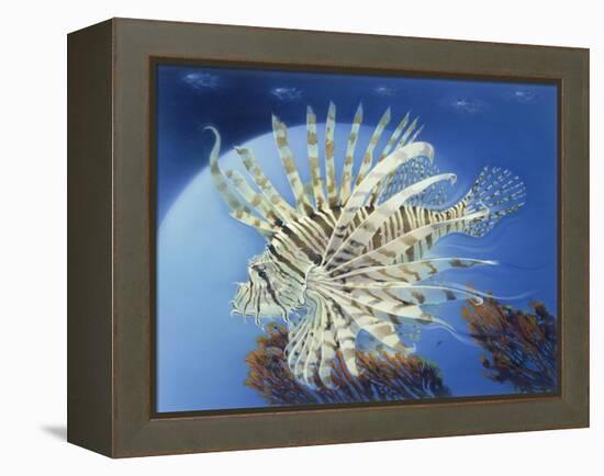 Lion Fish-Durwood Coffey-Framed Premier Image Canvas