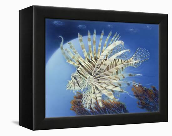 Lion Fish-Durwood Coffey-Framed Premier Image Canvas