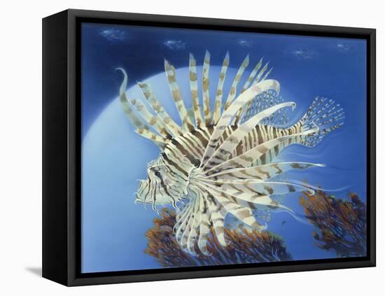 Lion Fish-Durwood Coffey-Framed Premier Image Canvas