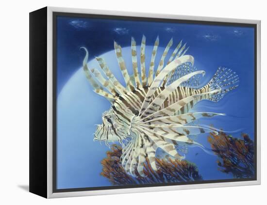 Lion Fish-Durwood Coffey-Framed Premier Image Canvas