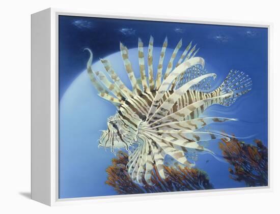 Lion Fish-Durwood Coffey-Framed Premier Image Canvas