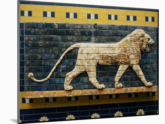 Lion, Glazed Brick Relief, 604-562 BC, Neo-Babylonian-null-Mounted Photographic Print