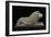 Lion Guard Door, Found Near the Temple of Inshushinak-null-Framed Giclee Print