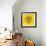 Lion Head Yellow Mesh-Lisa Kroll-Framed Premium Giclee Print displayed on a wall