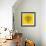 Lion Head Yellow Mesh-Lisa Kroll-Framed Premium Giclee Print displayed on a wall