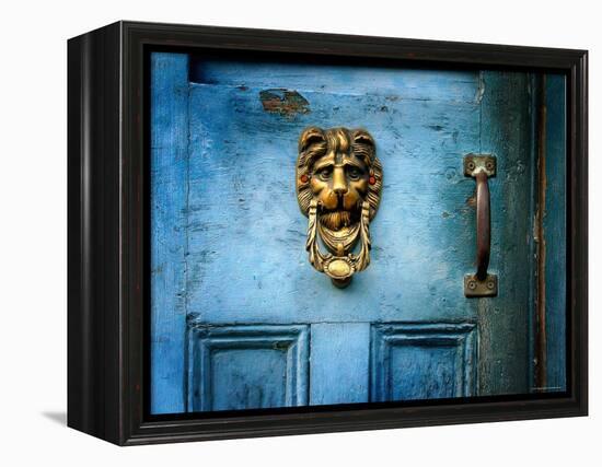 Lion Head-Jody Miller-Framed Premier Image Canvas