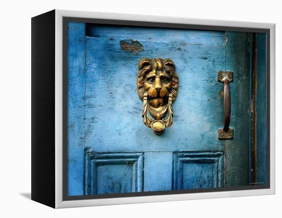 Lion Head-Jody Miller-Framed Premier Image Canvas