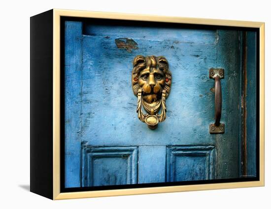 Lion Head-Jody Miller-Framed Premier Image Canvas