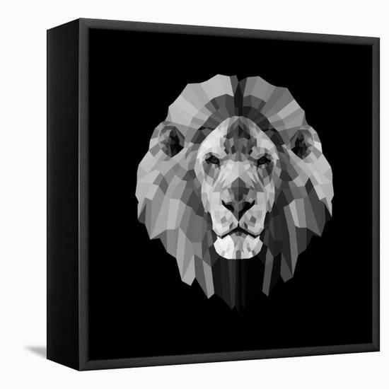 Lion Head-Lisa Kroll-Framed Stretched Canvas