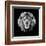 Lion Head-Lisa Kroll-Framed Art Print