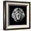 Lion Head-Lisa Kroll-Framed Art Print