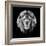 Lion Head-Lisa Kroll-Framed Art Print