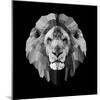 Lion Head-Lisa Kroll-Mounted Art Print