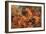 Lion Hunt, study-Eugene Delacroix-Framed Art Print