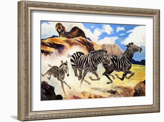 Lion Hunting Zebras-G. W Backhouse-Framed Giclee Print