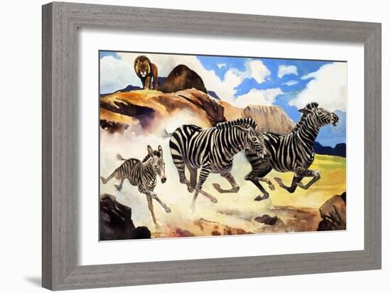 Lion Hunting Zebras-G. W Backhouse-Framed Giclee Print