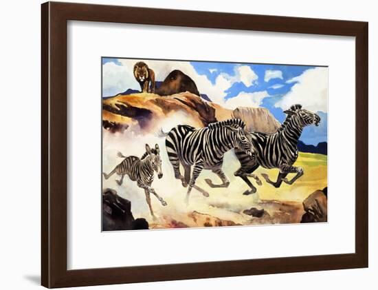 Lion Hunting Zebras-G. W Backhouse-Framed Giclee Print