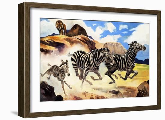 Lion Hunting Zebras-G. W Backhouse-Framed Giclee Print