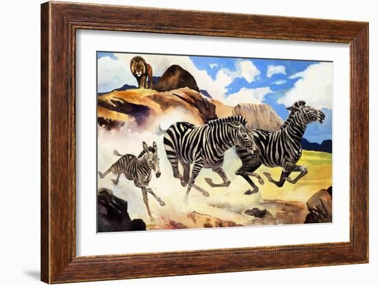 Lion Hunting Zebras-G. W Backhouse-Framed Giclee Print