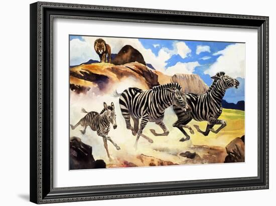 Lion Hunting Zebras-G. W Backhouse-Framed Giclee Print