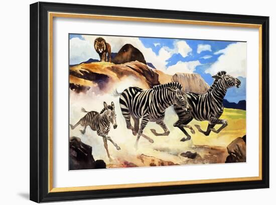 Lion Hunting Zebras-G. W Backhouse-Framed Giclee Print