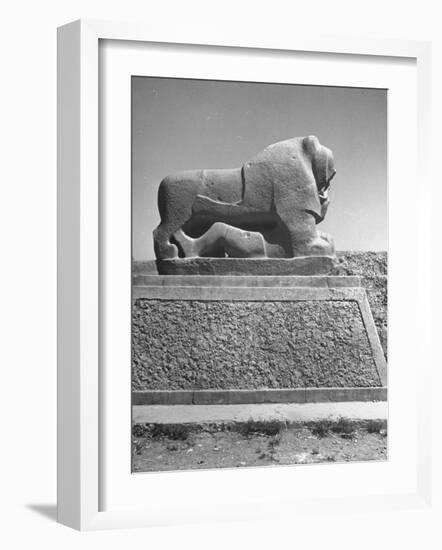 Lion in the Ruins of the Temple of Nebuchadnezzar in the Ruins of Babylon-Dmitri Kessel-Framed Photographic Print