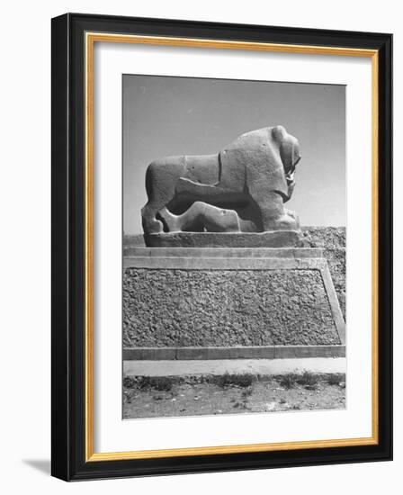 Lion in the Ruins of the Temple of Nebuchadnezzar in the Ruins of Babylon-Dmitri Kessel-Framed Photographic Print