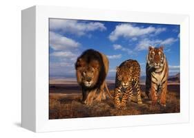 Lion, Jaguar, and Tiger-DLILLC-Framed Premier Image Canvas
