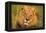 Lion King-Howard Ruby-Framed Premier Image Canvas
