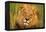 Lion King-Howard Ruby-Framed Premier Image Canvas