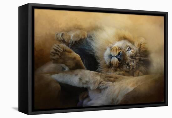 Lion Love 2-Jai Johnson-Framed Premier Image Canvas