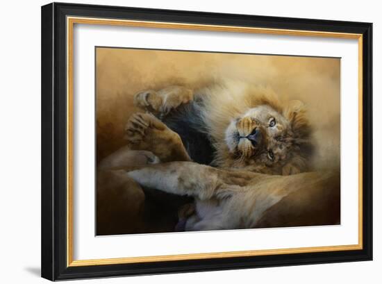 Lion Love 2-Jai Johnson-Framed Giclee Print