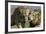 Lion Male and Female-null-Framed Photographic Print