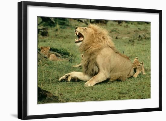 Photographic Print, , large