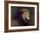 Lion Male-Harro Maass-Framed Giclee Print