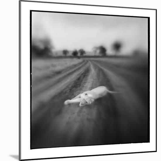 Lion, Masai Mara Game Reserve, Kenya-Paul Souders-Mounted Photographic Print