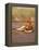 Lion, Masai Mara Game Resv, Kenya, Africa-Elizabeth DeLaney-Framed Premier Image Canvas