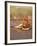 Lion, Masai Mara Game Resv, Kenya, Africa-Elizabeth DeLaney-Framed Photographic Print