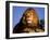 Lion, Masai Mara, Kenya-Marilyn Parver-Framed Photographic Print