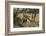 Lion, Masai Mara, Kenya-Sergio Pitamitz-Framed Photographic Print