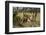 Lion, Masai Mara, Kenya-Sergio Pitamitz-Framed Photographic Print