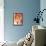 Lion Mix 1-XL-Fernando Palma-Framed Premier Image Canvas displayed on a wall