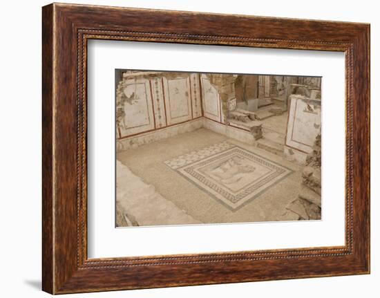 Lion Mosaic, Murals and Frescoes in a Terrace House, Curetes Street-Eleanor Scriven-Framed Photographic Print