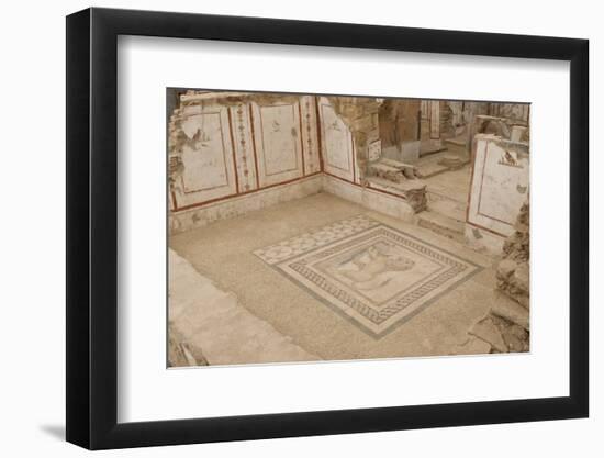 Lion Mosaic, Murals and Frescoes in a Terrace House, Curetes Street-Eleanor Scriven-Framed Photographic Print