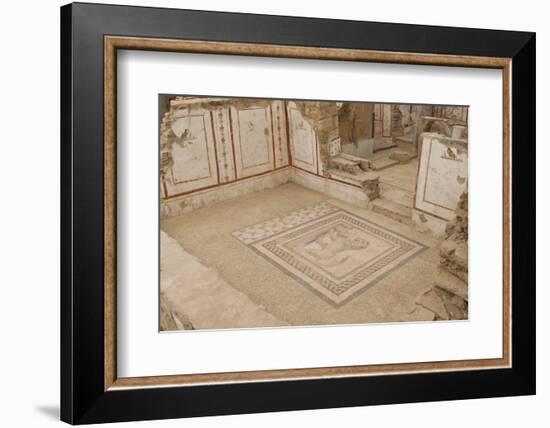 Lion Mosaic, Murals and Frescoes in a Terrace House, Curetes Street-Eleanor Scriven-Framed Photographic Print