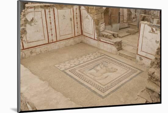 Lion Mosaic, Murals and Frescoes in a Terrace House, Curetes Street-Eleanor Scriven-Mounted Photographic Print